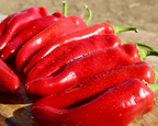 Biggie Chile Hybrid Hot Pepper Seeds