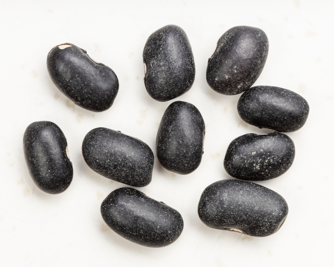 Black Turtle Bean Seeds