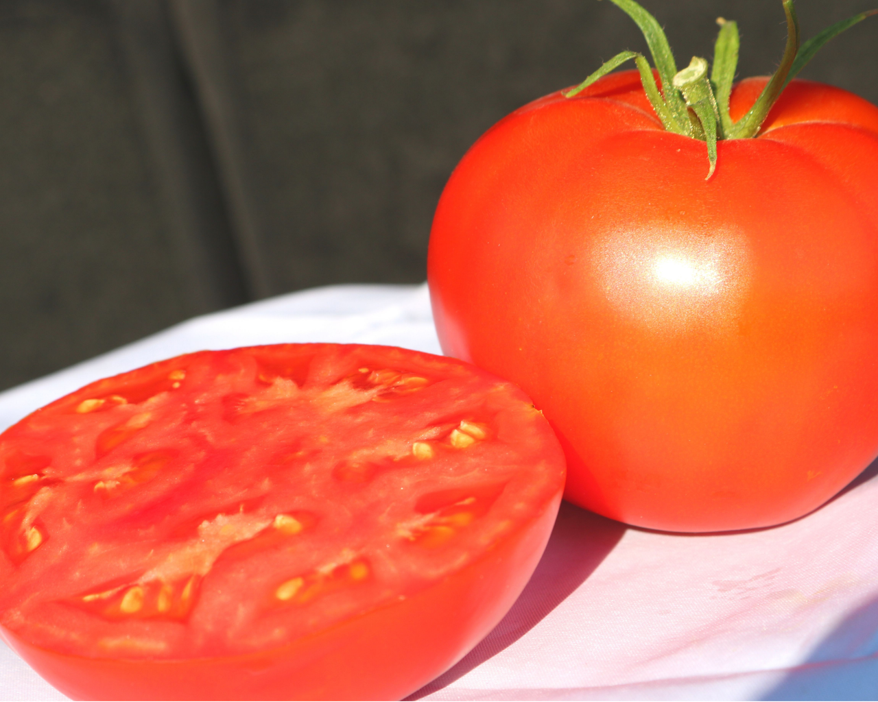 Jetsetter Hybrid Tomato Seeds