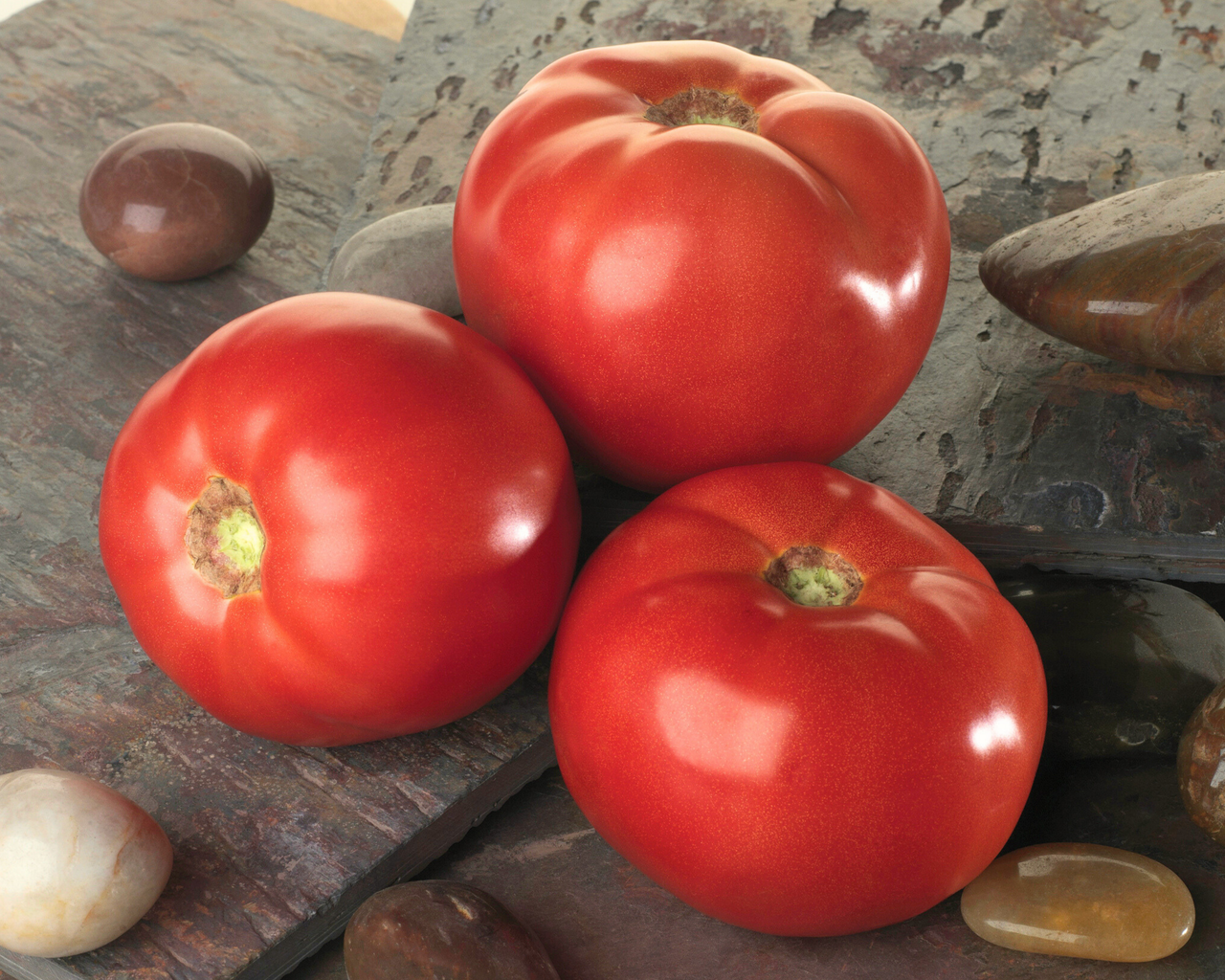 tomato seeds rosada Bella Rosa Hybrid Tomato Seeds