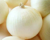Sierra Blanca Hybrid Onion Seeds