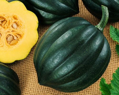 Acorn or Table Queen Winter Squash Seeds