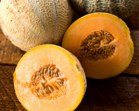 Halona Hybrid Melon Seeds
