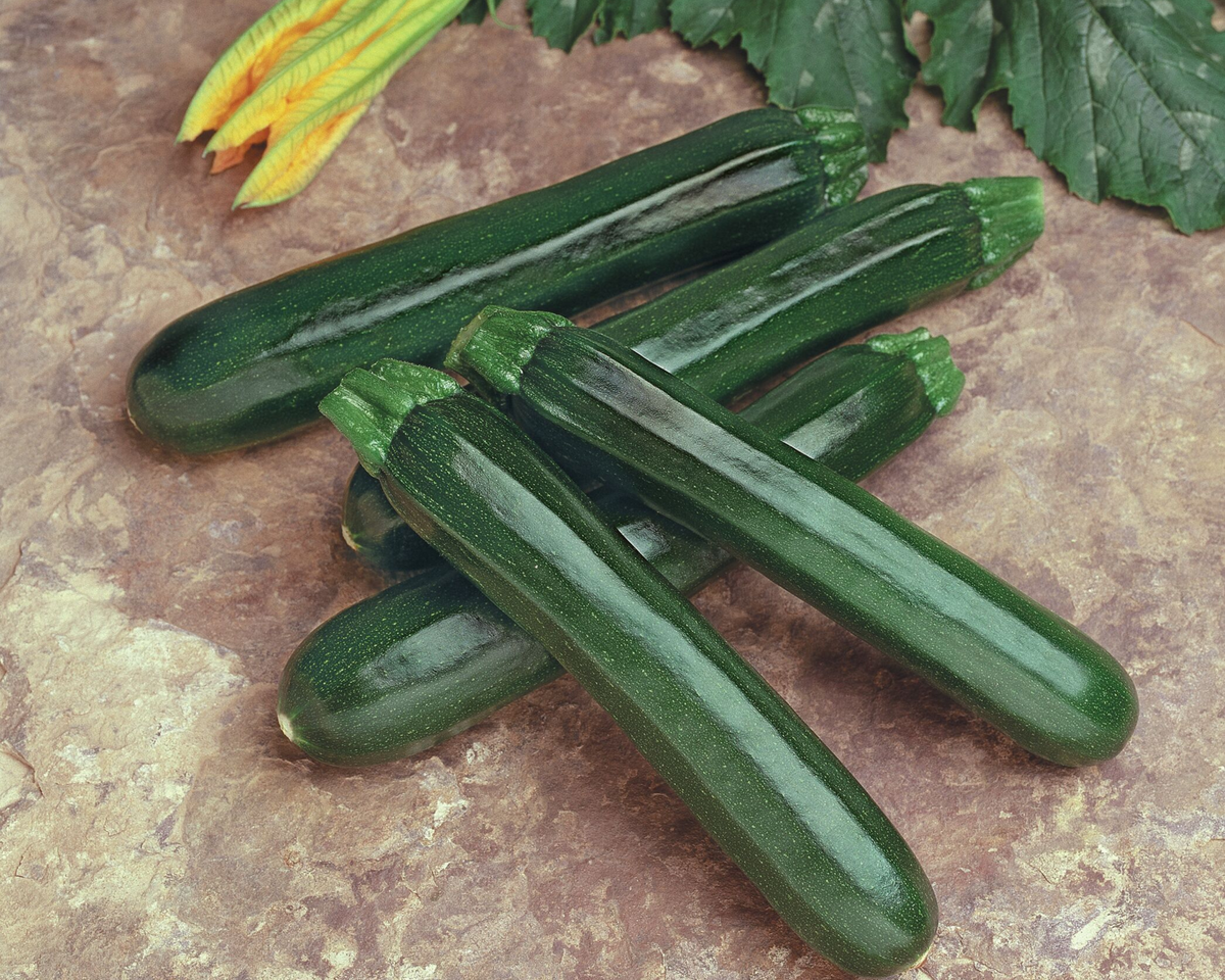 Raven Hybrid Zucchini Seeds