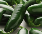 La Bomba Hybrid Pepper Seeds