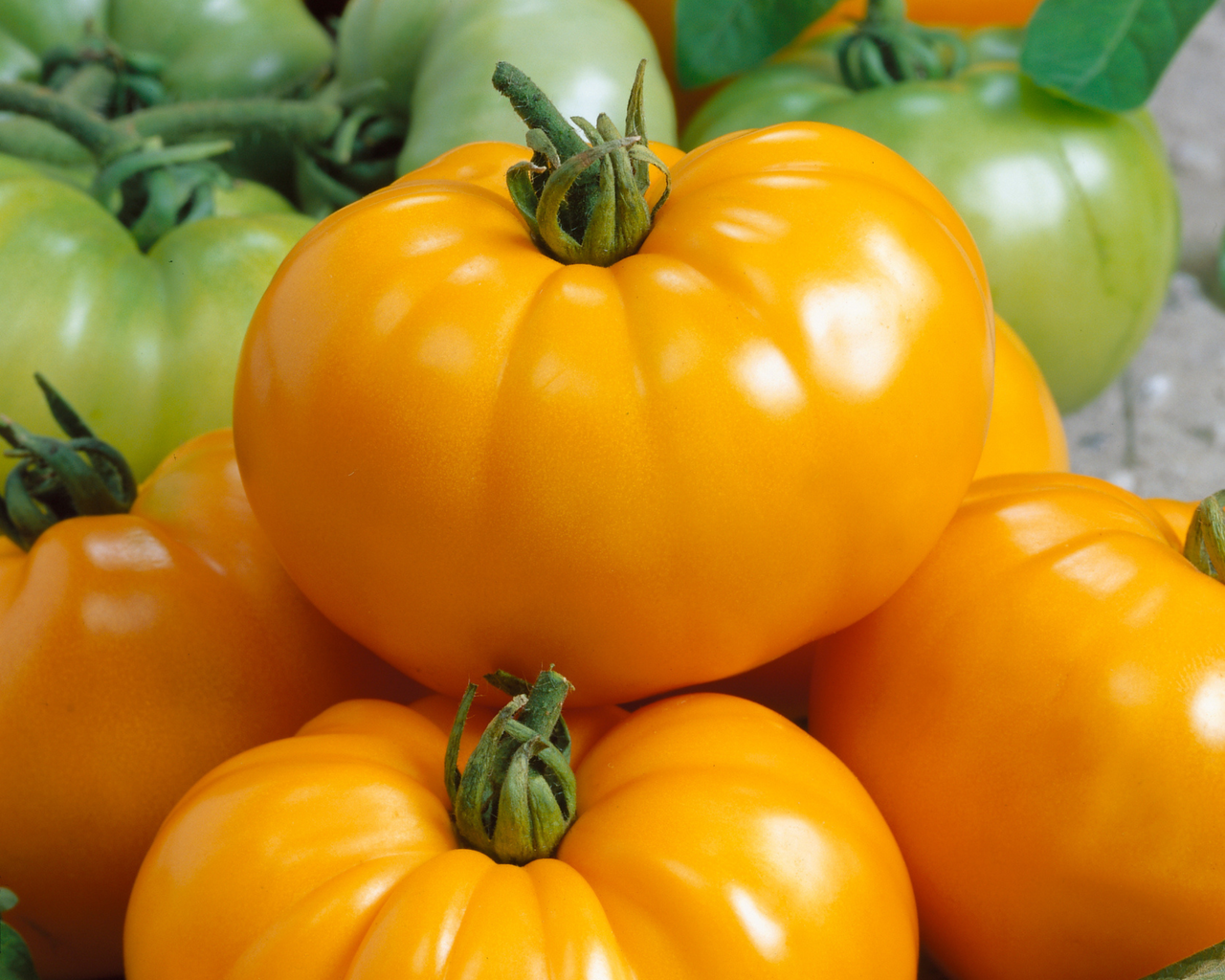 Chef's™ Choice Yellow Hybrid Tomato Seeds