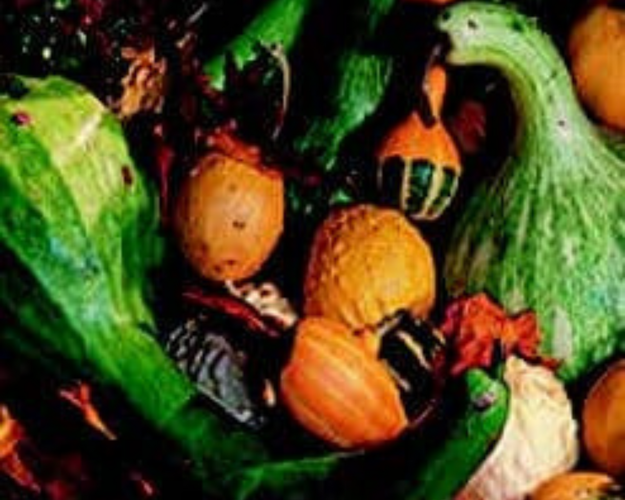 Large and Small Ornamental Mix Gourd Seeds