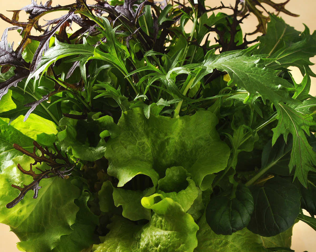 SimplySalad® Global Gourmet Mix Seeds