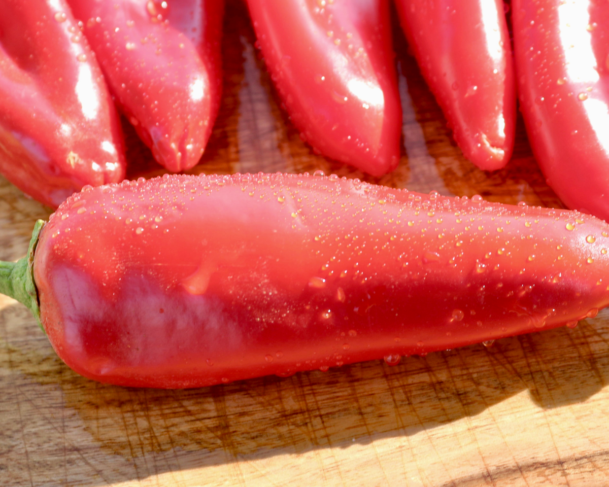Biggie Chile Hybrid Hot Pepper Seeds