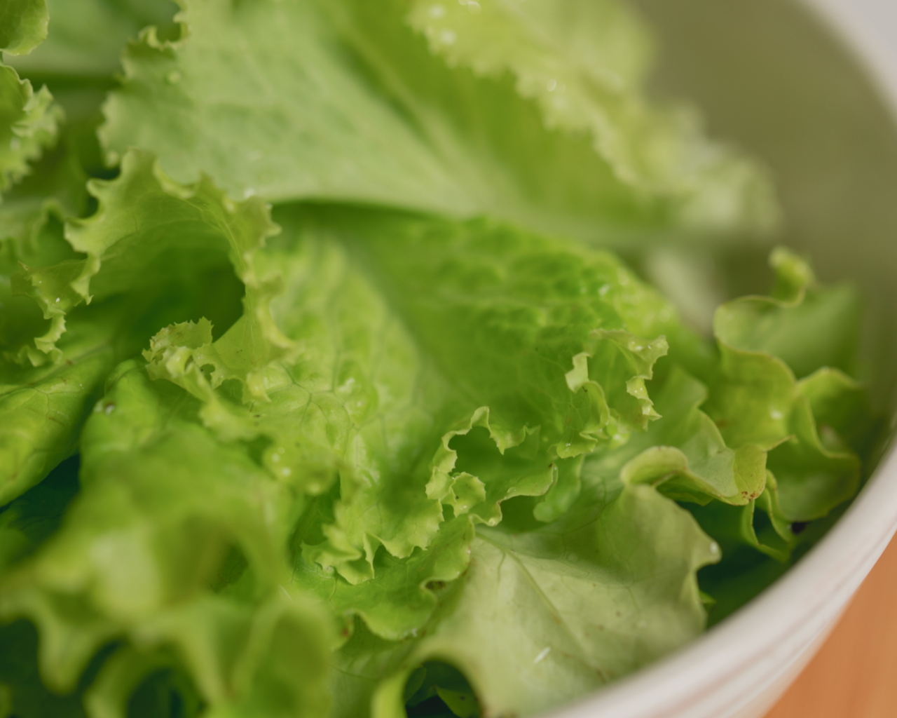 Simpson Elite Lettuce Seeds