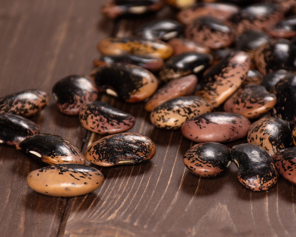 Painted Lady Runner Bean