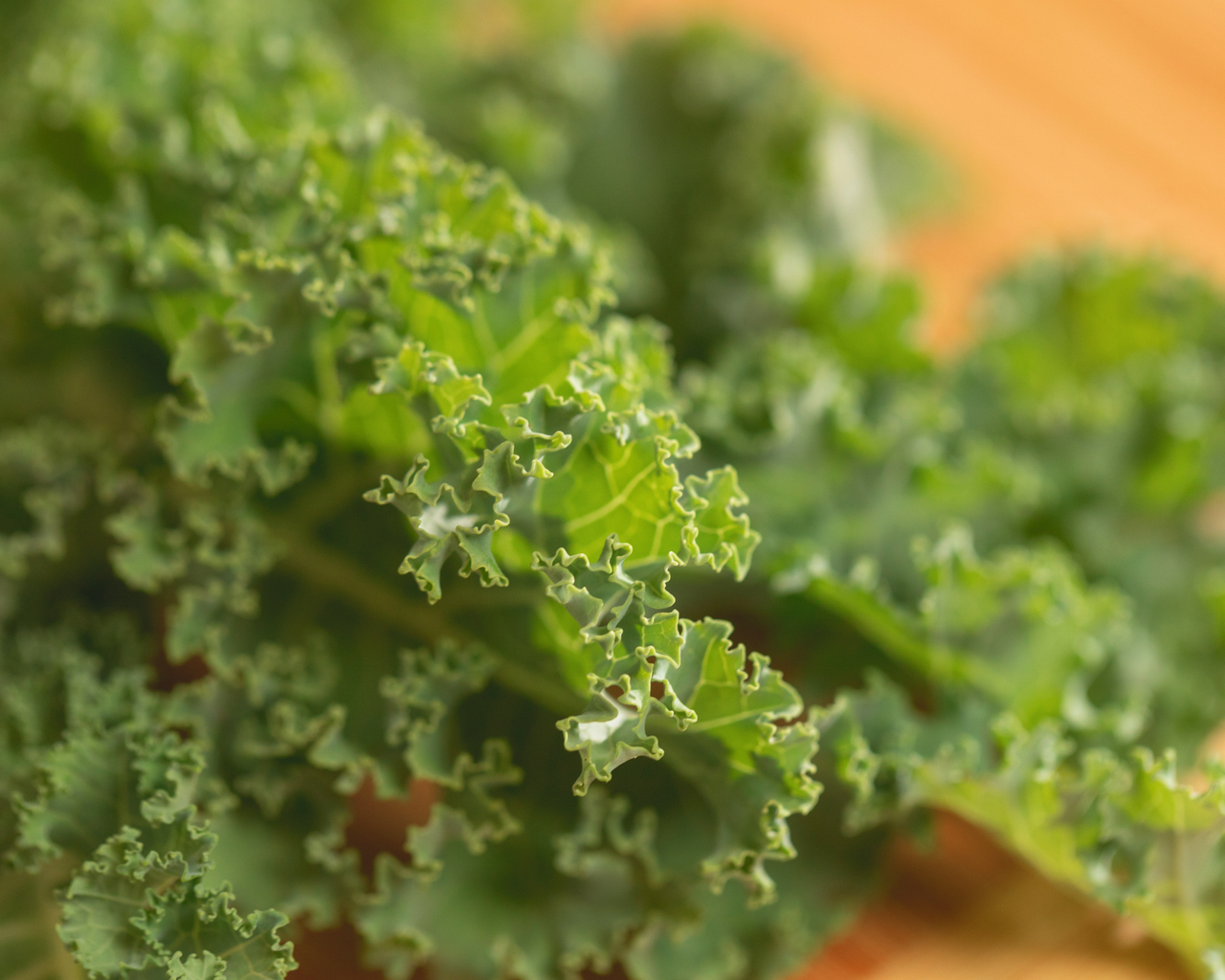 Prizm Hybrid Kale Seeds