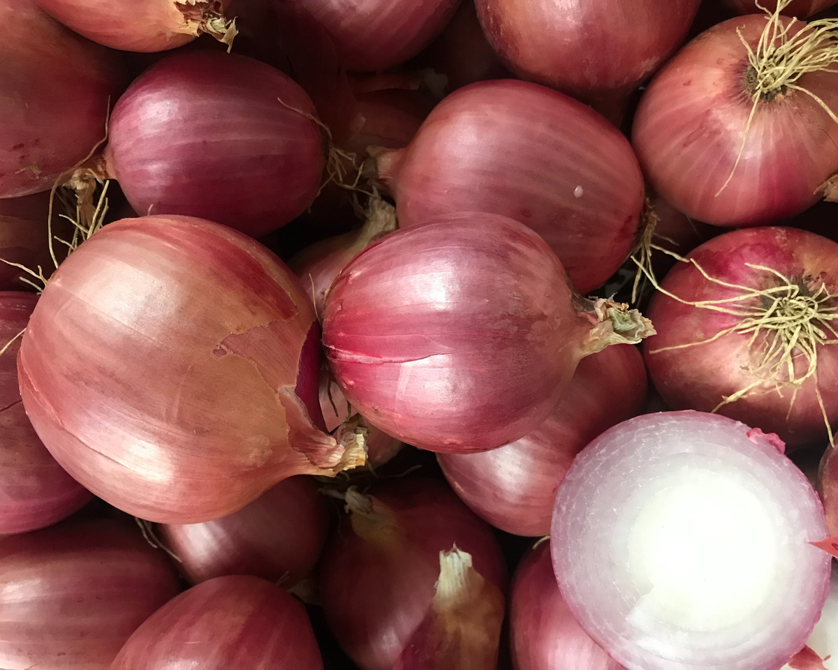 Blush Hybrid Onion Seeds