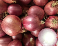 Blush Hybrid Onion Seeds