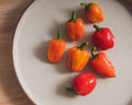 Mini Belle Mix Pepper Seeds