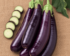 Hansel Hybrid Eggplant Seeds