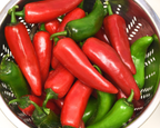 Pot-a-Peño Pepper Seeds