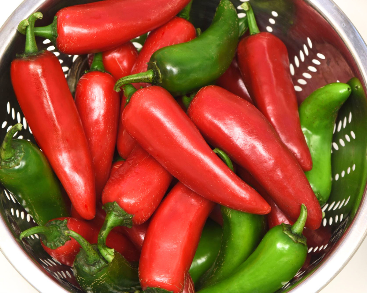 Pot-a-Peño Pepper Seeds
