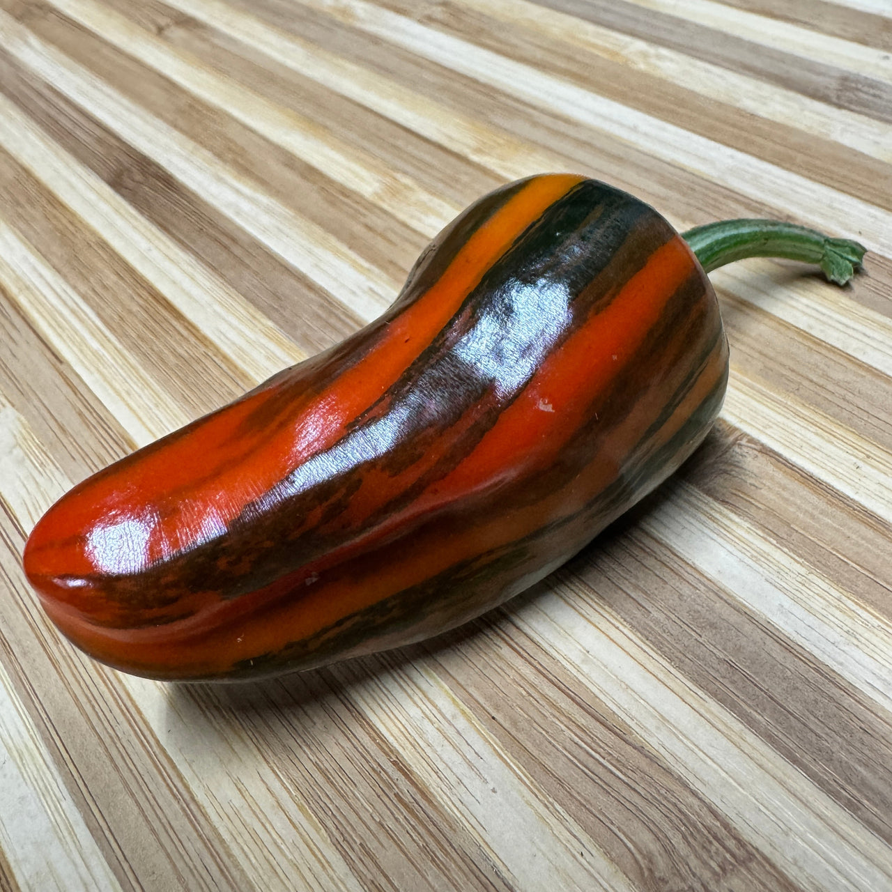 Bryans Blood Rainbow - Seeds