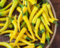 Golden Cayenne