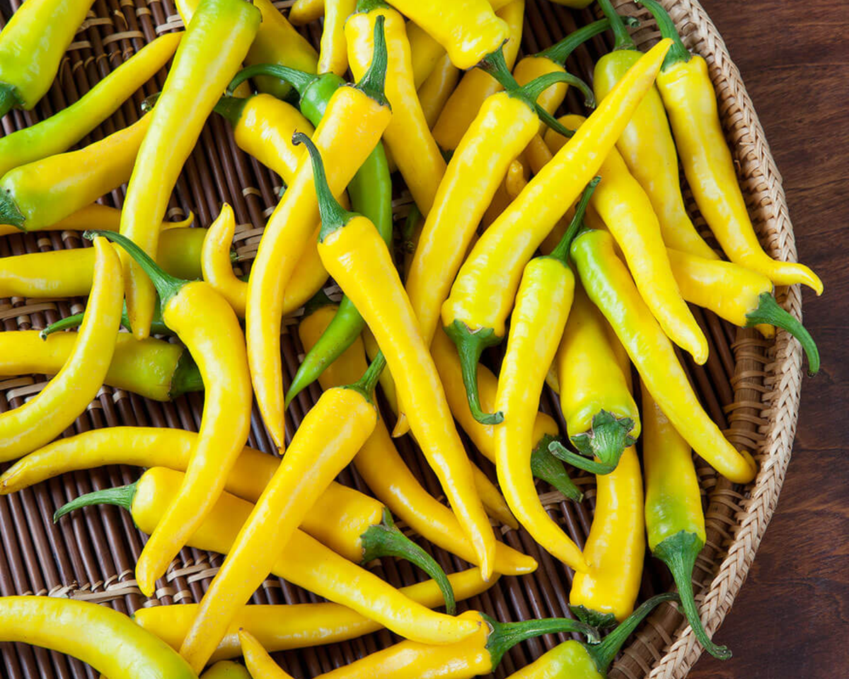 Golden Cayenne