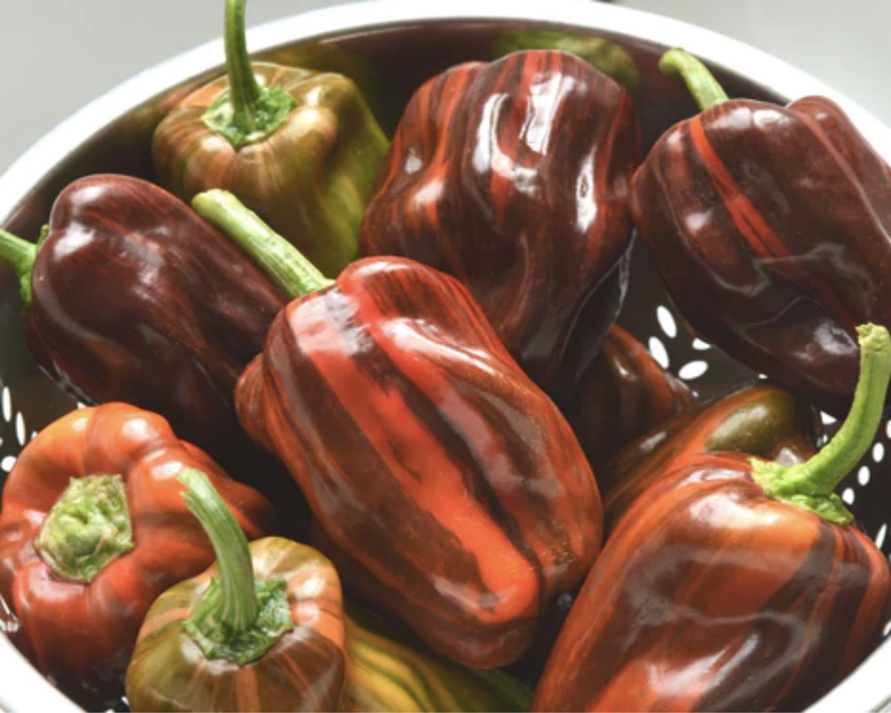 Candy Cane Chocolate Cherry Hybrid Pepper Seeds