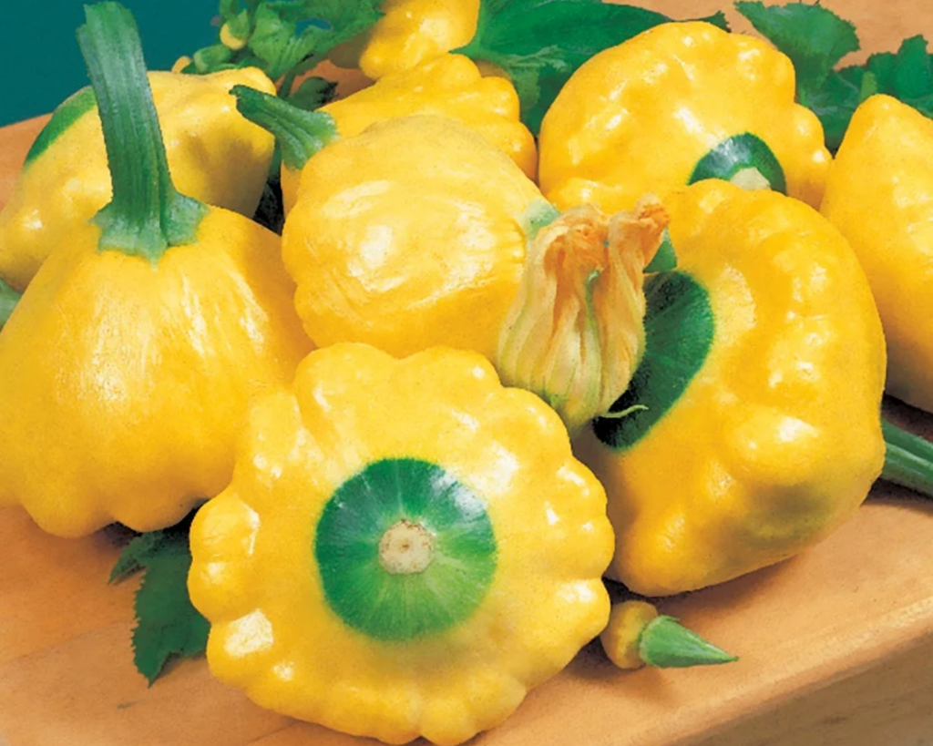 Sunburst Hybrid Summer Squash Seeds