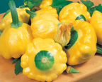 Sunburst Hybrid Summer Squash Seeds