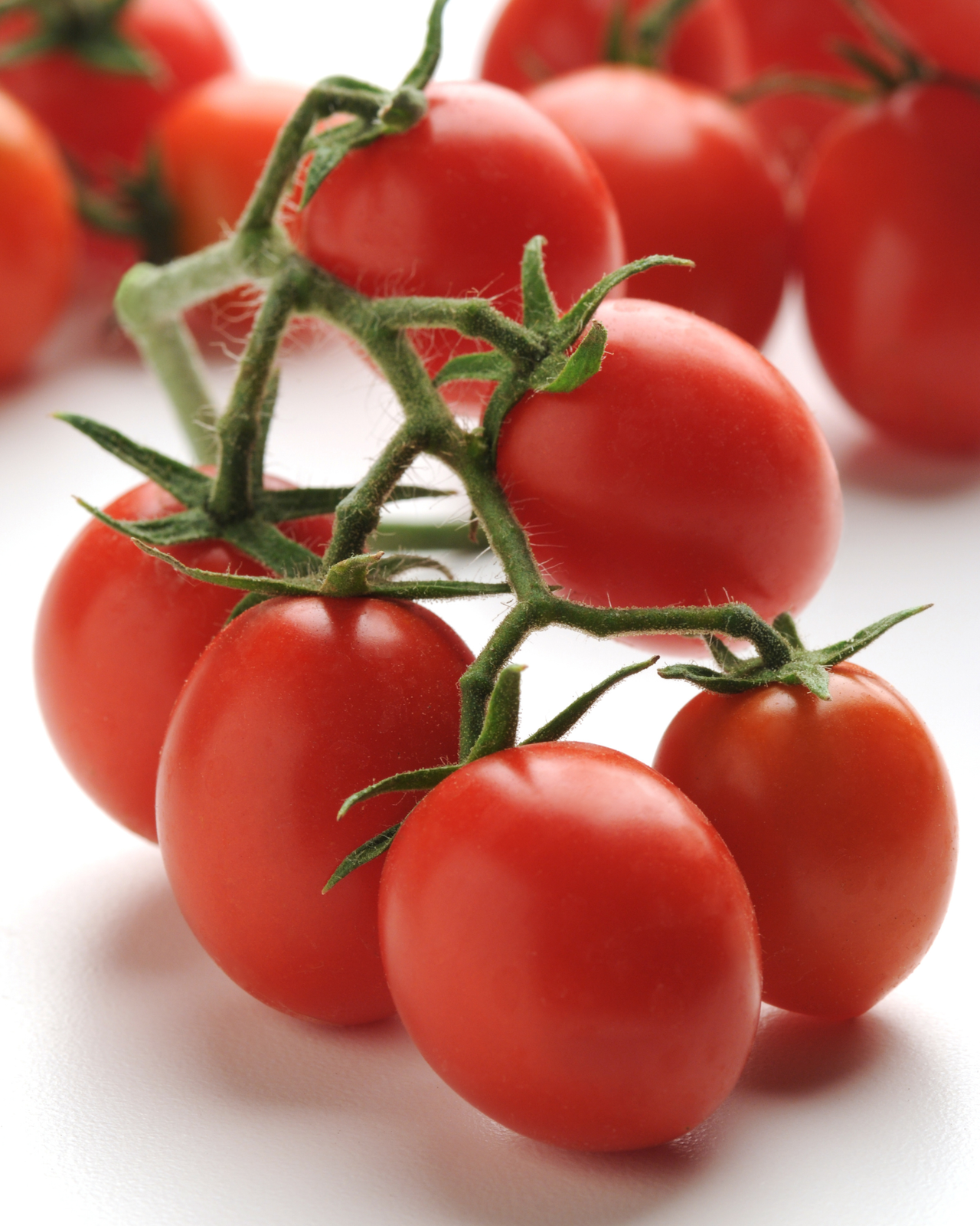 Topsy Tom Hybrid Tomato Seeds