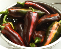 Mocha Swirl Hybrid Pepper Seeds