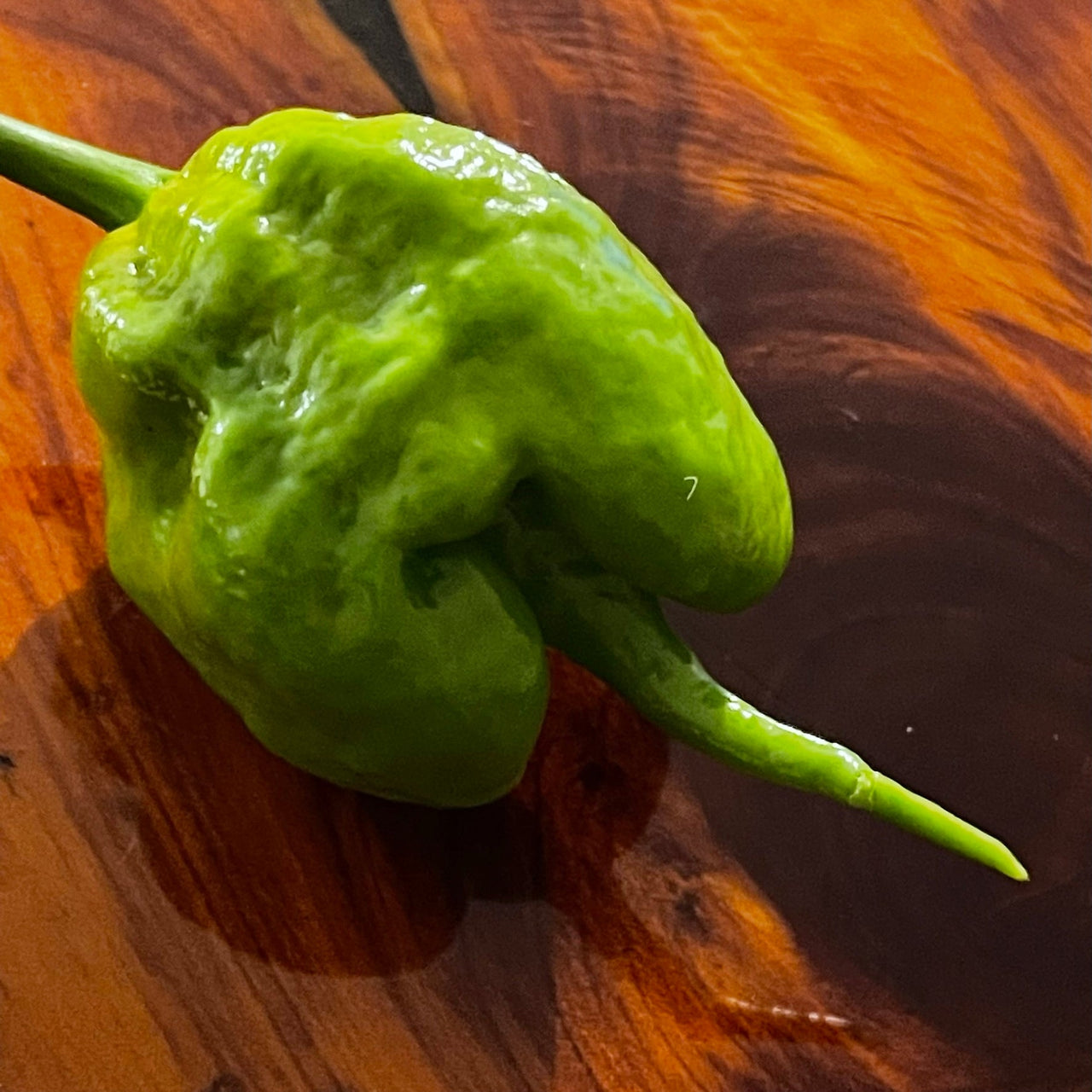 Mustard Carolina Reaper - Seeds