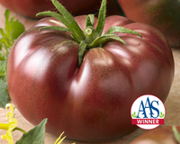 Chef's Choice Black Hybrid Tomato Seeds