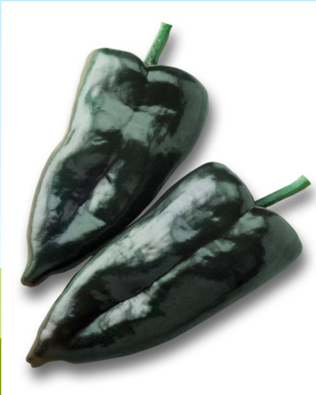 Carranza Hybrid Pepper Seeds