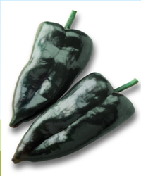 Carranza Hybrid Pepper Seeds