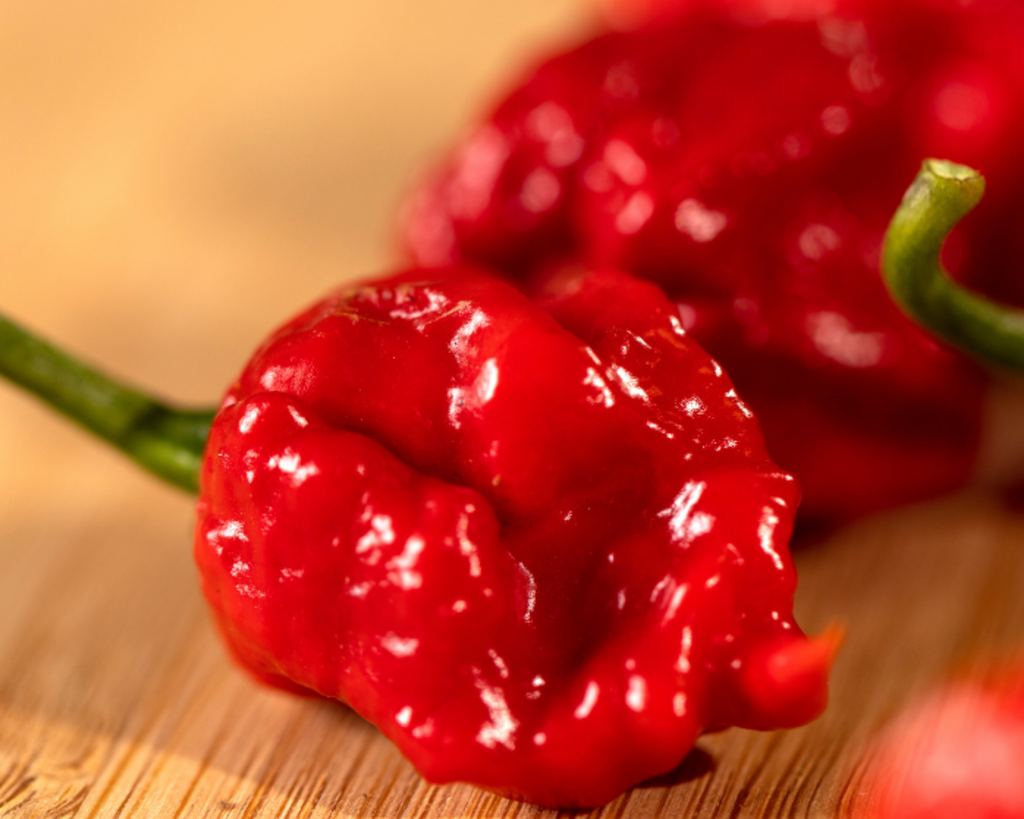 Carolina Reaper Super-Hot Pepper Seeds