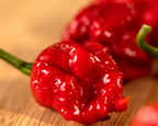 Carolina Reaper Super-Hot Pepper Seeds