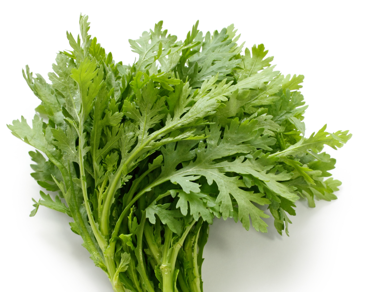 Shingiku (Garland Chrysanthemum)
