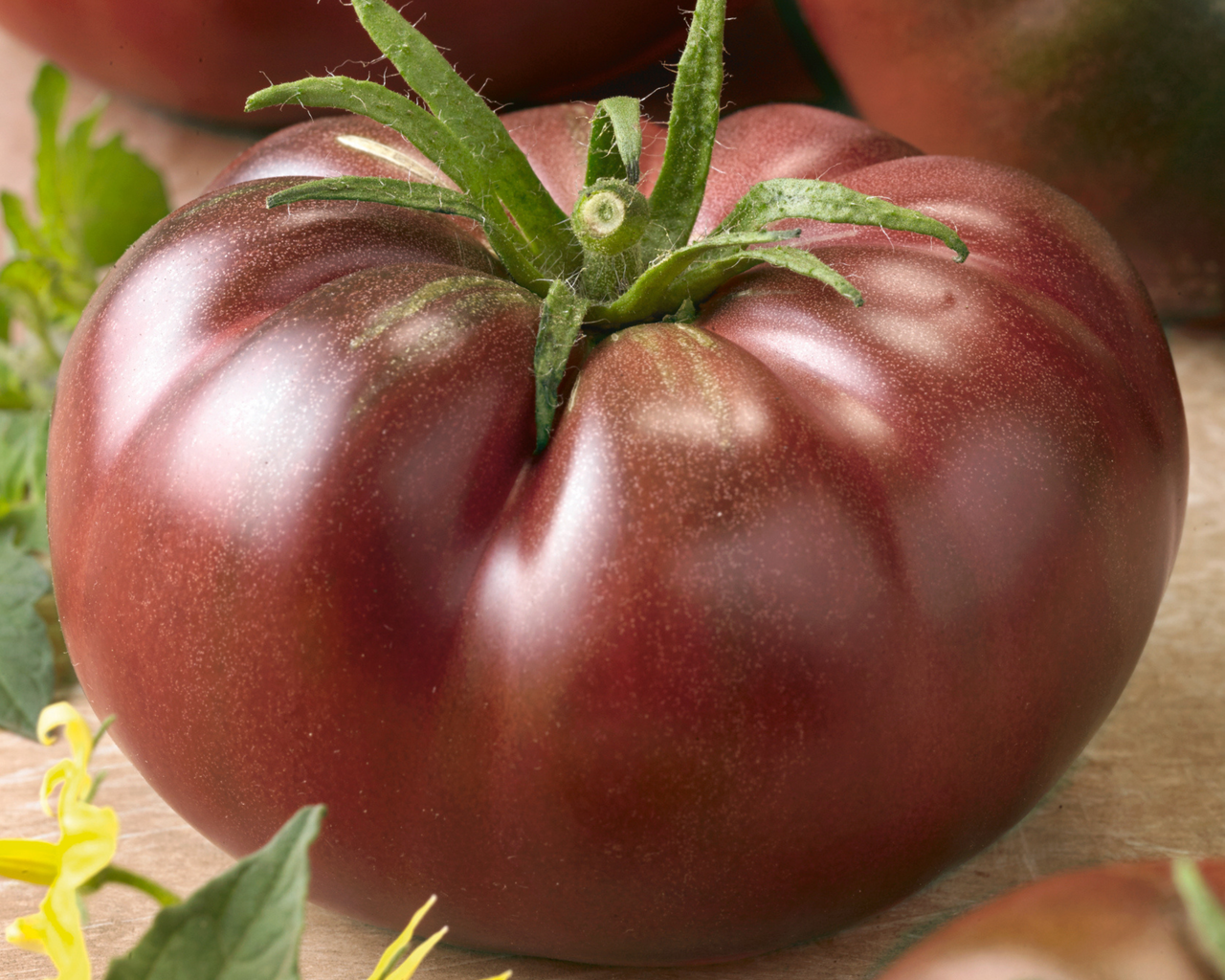 Chef's Choice Black Hybrid Tomato Seeds