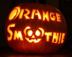 Orange Smoothie Hybrid Pumpkin Seeds