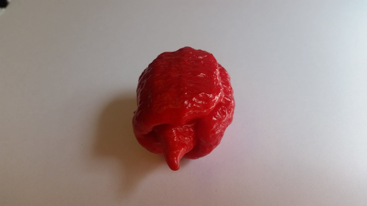 7 Pot Brain Strain Red - Seeds - The Pepper Pantry (Formerly Marie Sharp's)