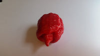 7 Pot Brain Strain Red - Seeds - The Pepper Pantry (Formerly Marie Sharp's)