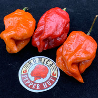 7 Pot Defcon - Seeds - The Pepper Pantry (Formerly Marie Sharp's)
