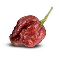 7 Pot Douglah Pepper Seeds