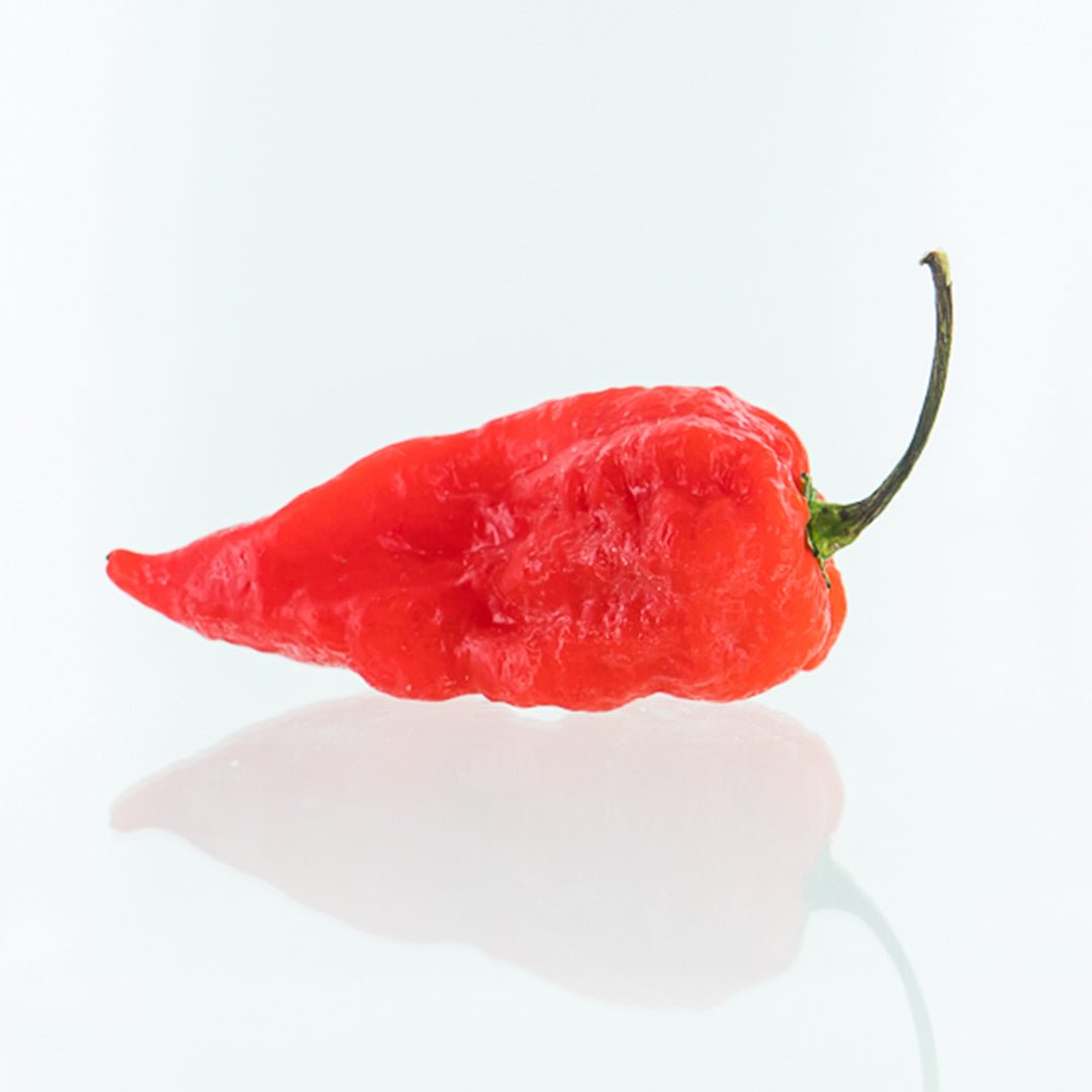 7 Pot Katie Pepper Seeds (Non - Isolated)
