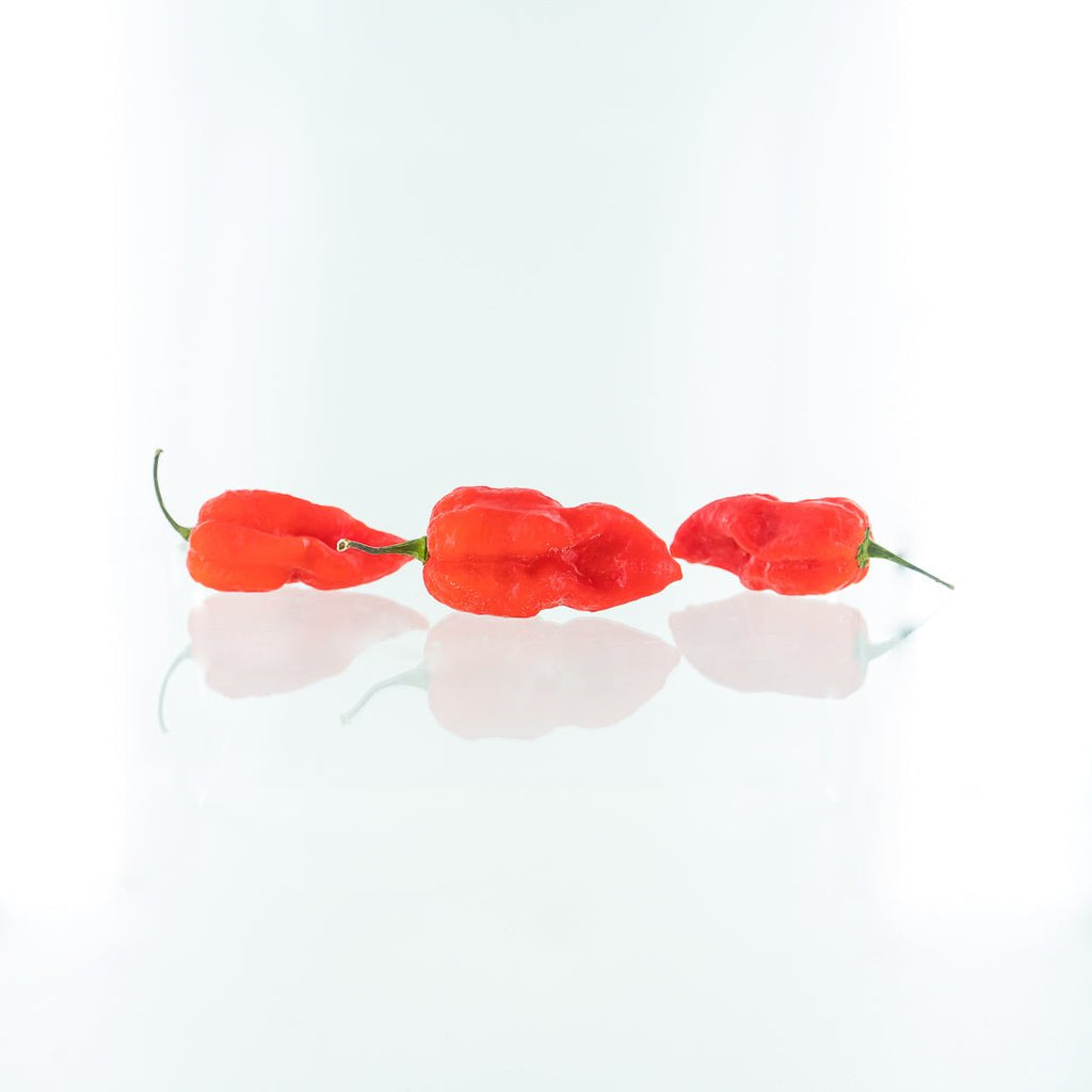 7 Pot Katie Pepper Seeds (Non - Isolated)