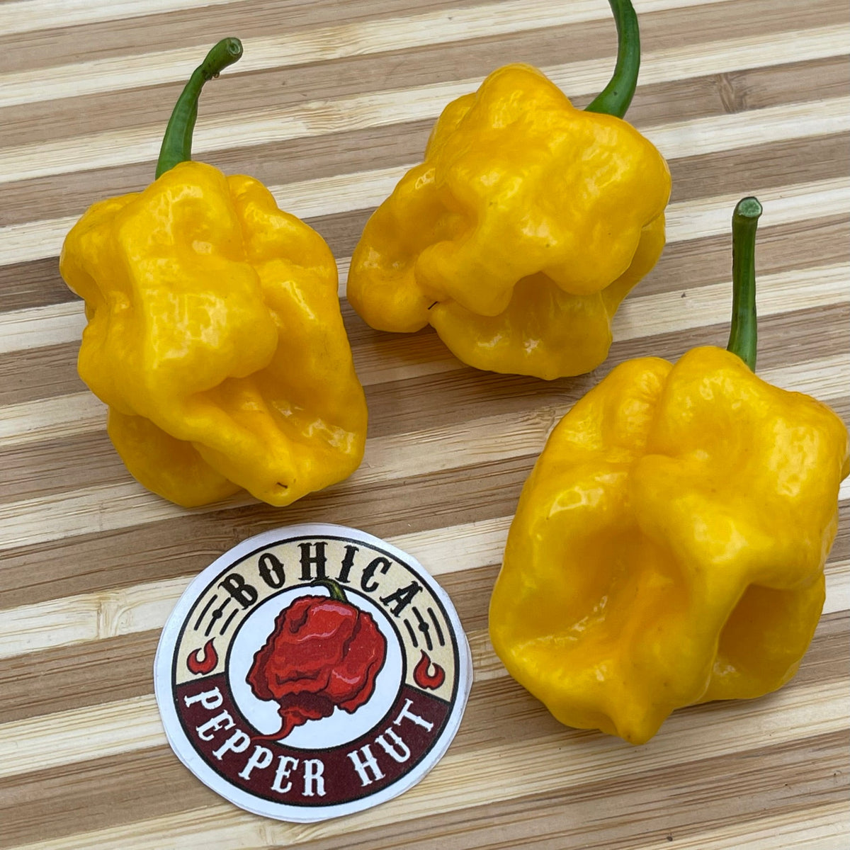 Lemon Habanero - Seeds