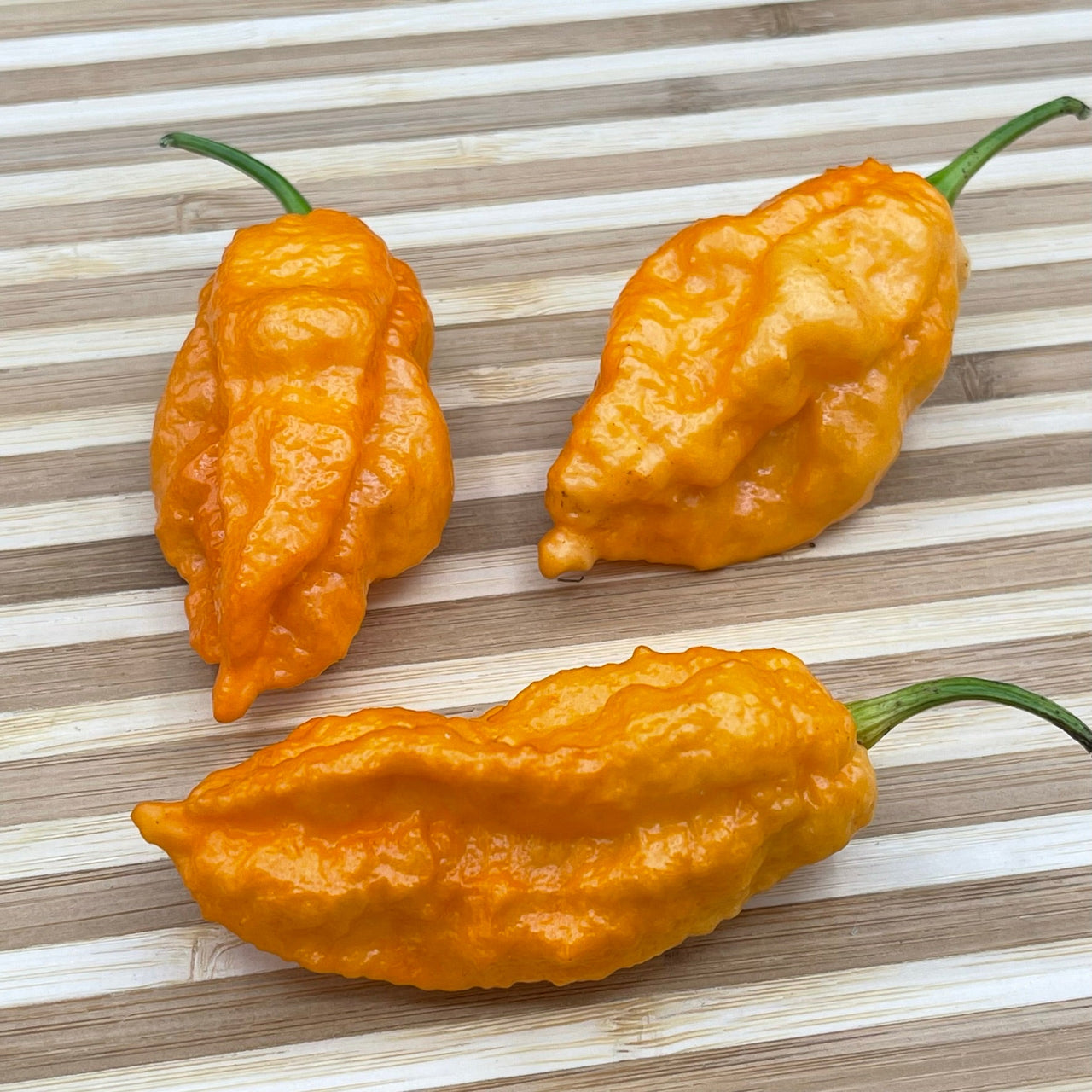 Bhut Jolokia Orange Cream - Seeds