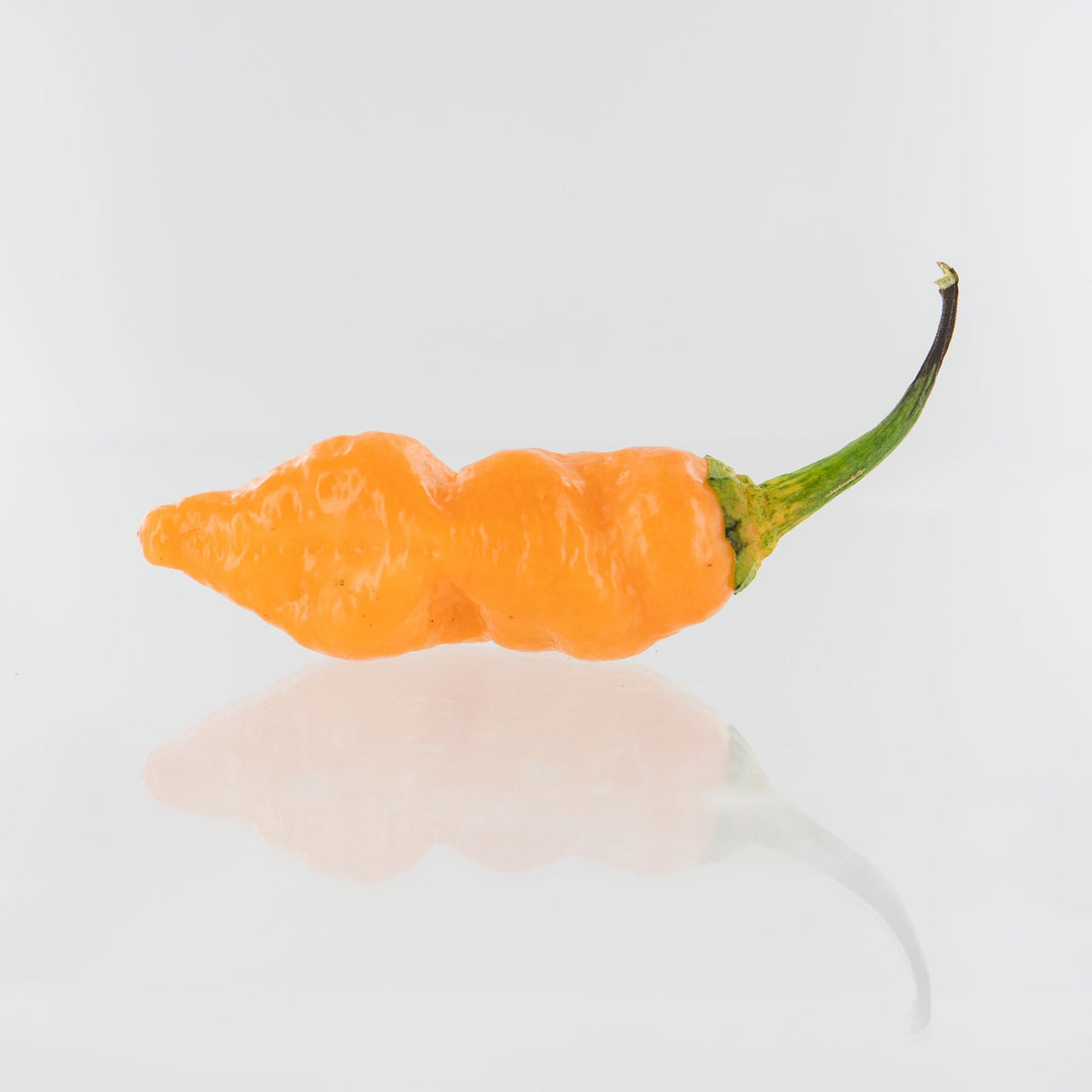 7 Pot Bubblegum Orange Pepper Seeds