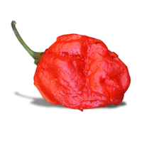 Thumbnail for 7 Pot Barrackpore Pepper Seeds