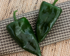 Trident Hybrid Pepper Seeds